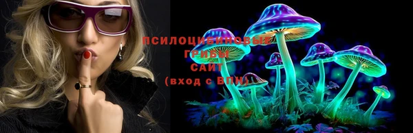 2c-b Белоозёрский