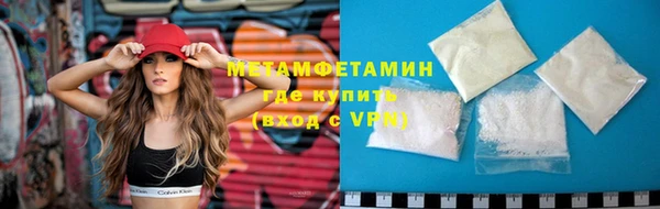 прущие грибы Беломорск