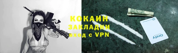 прущие грибы Беломорск