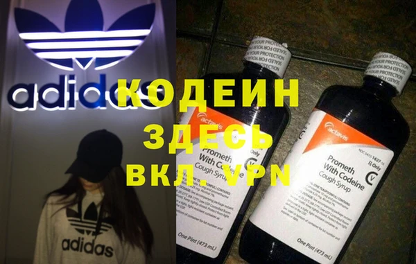 прущие грибы Беломорск