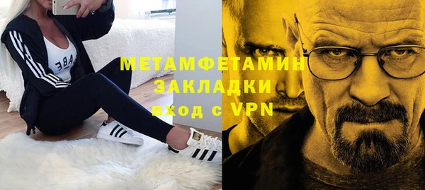 прущие грибы Беломорск